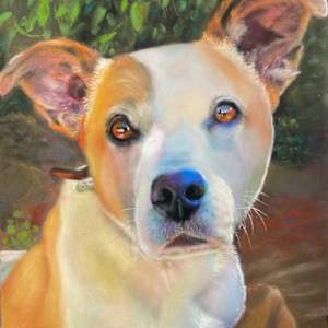 Nadia's dog by Susan Penfold