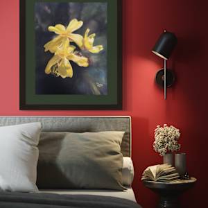 Ephemeral beauty by Susan Penfold 