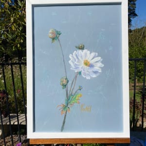 Serenity by Susan Penfold