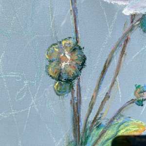 Serenity by Susan Penfold 