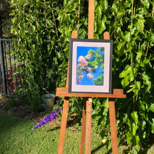Spring Blossoms by Susan Penfold 