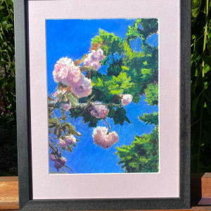 Spring Blossoms by Susan Penfold 