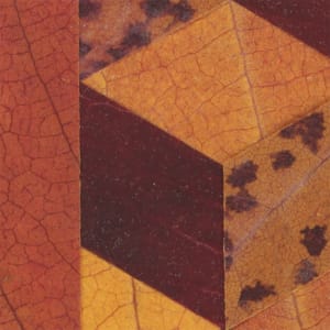 Cherry Tumbling Blocks Quilt by Jody Graff  Image: Image of artwork detail