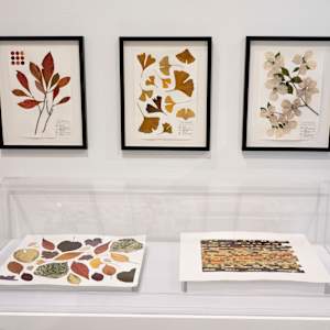 PHL 2023 Temperature Quilt Installation by Jody Graff, Image 4.