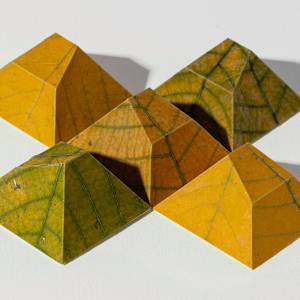 Stoneleigh Bottlebrush Buckeye Oblique Truncated Pyramids by Jody Graff  Image: Image of unframed artwork side view (photograph by Andrea Cipriani Mecchi )