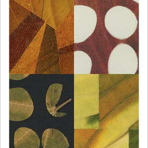 Hosta Abstract Unbound Quilt by Jody Graff  Image: Present Tense: Drexel Art Now 4 x 6 promo card side one