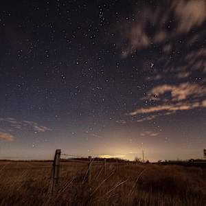 Silent Field by Theresa Muth