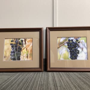 Grapes by Theresa Muth 