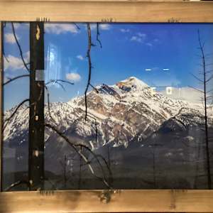 View from the Fire by Theresa Muth 