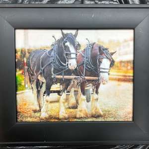 The Steeds by Theresa Muth, Image 2.