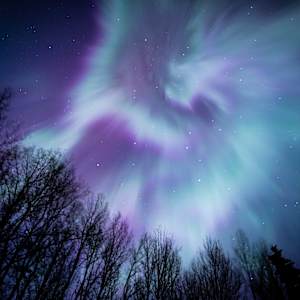 Aurora Borealis - Metal Print by Theresa Muth