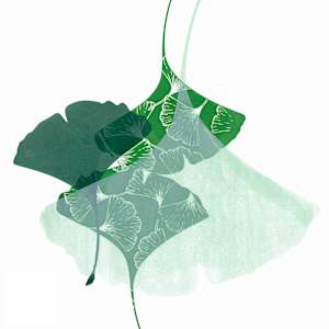 Emergence by Ilana Dashe, Image 2.