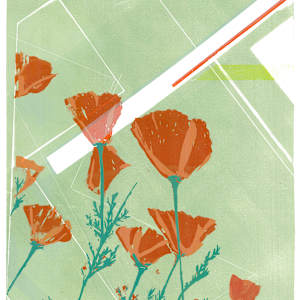 Poppy - Renewal by Ilana Dashe