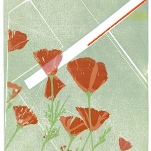 Poppy - Remembrance by Ilana Dashe