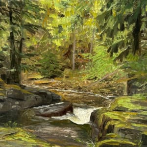 Top of Medicine Bowl Falls by David Vegt