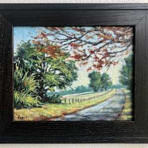 County Road 313, Tyler TX by Vickie Fears 