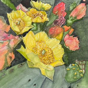 Blooming Cactus by Ruby Westmoreland