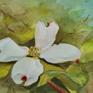 Spring is Here by Carol Athey