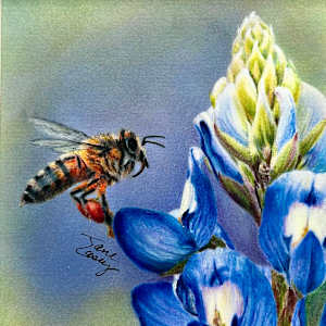 Bluebonnet and Honeybee by Jane Casey, Image 2.