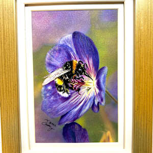Buff-tailed Bumblebee by Jane Casey, Image 2.
