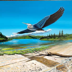 Heron_Haven by Heiko Schlueter