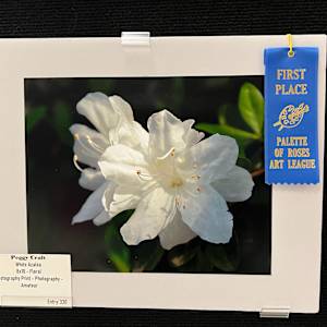 White Azalea by Peggy Craft