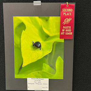 On The Edge by Tricia Pottinger