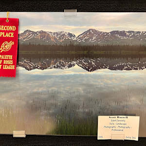 Silent Serenity by Scott Bazzell