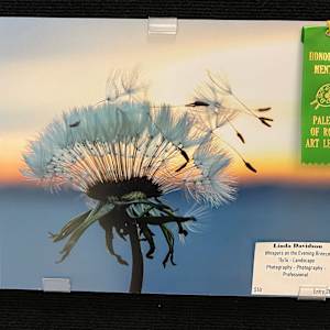 Whispers on the Evening Breeze by Linda Davidson