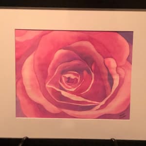 Fuchia Rose by Donna Cariker 