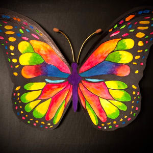 Multi-colored Butterfly by Donna Cariker