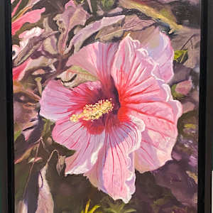 Hibiscus 1 by Jane Graham
