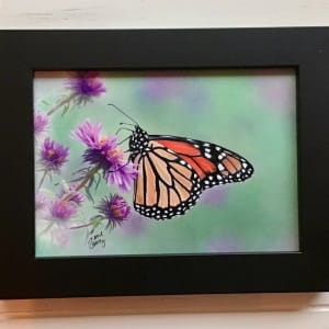 Monarch on Asters by Jane Casey