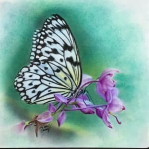 Paper Kite Butterfly by Jane Casey