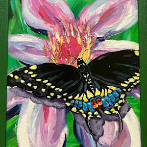 Black Beauty by Heather Burris