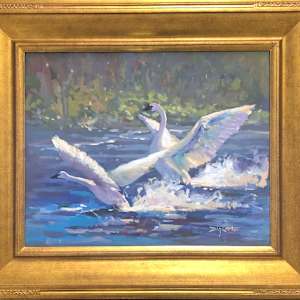 “Swan Flight” by Doug Carter