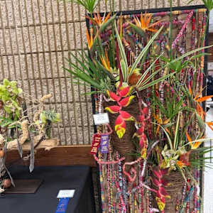 Exotic Vision by Ute` Schnetzinger