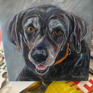 Old lab by Peggy Coston