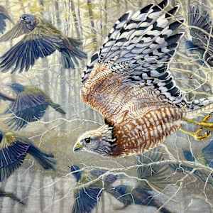 Mobbing-Red Shoulder Hawk by Gary Broome  Image: Honorable Mention Award, Professional Division Landscape Category. Rose Festival Art Show 2025