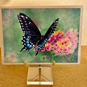 Sweet Lantana Black Swallowtail by Jane Casey 