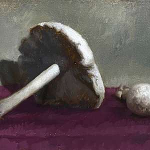 Toadstools with Magenta by AnneMarie Johnson