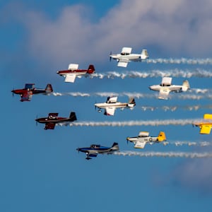 Flight in Formation by Linda Davidson