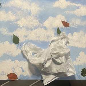 Drifting Through The Wind by Jazmyn Starks