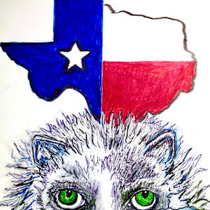 Pancake the Texas Cat by Cathy Mounce 