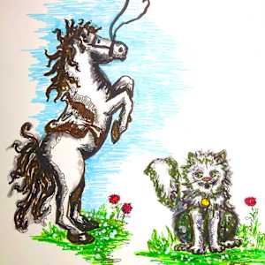 Pancake the Texas Cat by Cathy Mounce 