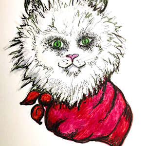 Pancake the Texas Cat by Cathy Mounce
