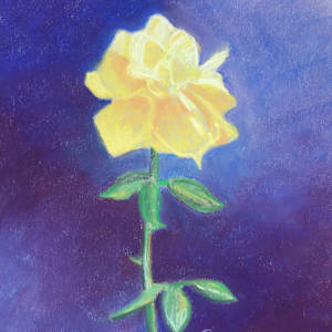 Yellow Rose of Texas by Nancy Beauchamp