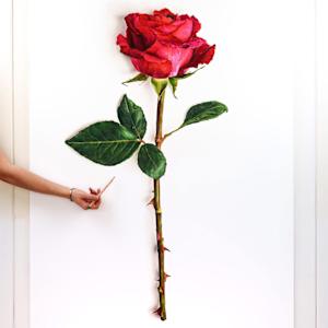 Dave, Because A Rose By Any Other Name Would Smell As Sweet by Mileah Lorenz