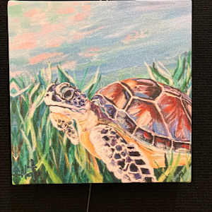 Mrs Sea Turle by Heather Burris