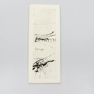 Songes 60/60 by julius Baltazar-L, Michel Déon-A 
